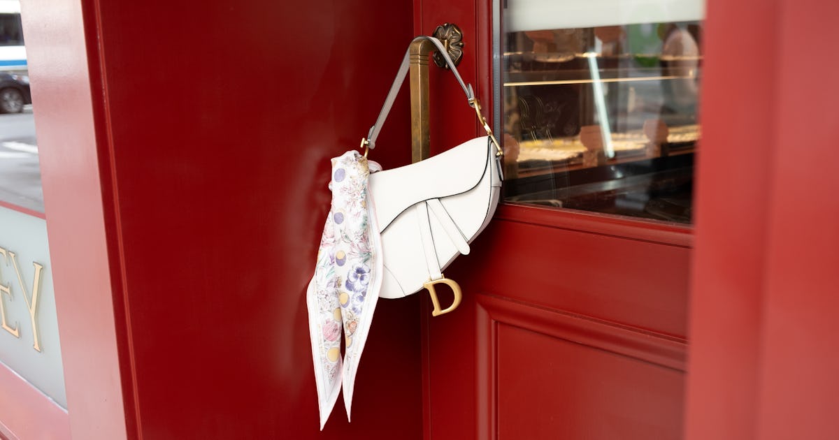 This Dior Saddle Bag Is The Carrie Bradshaw Fave You Need, Stat