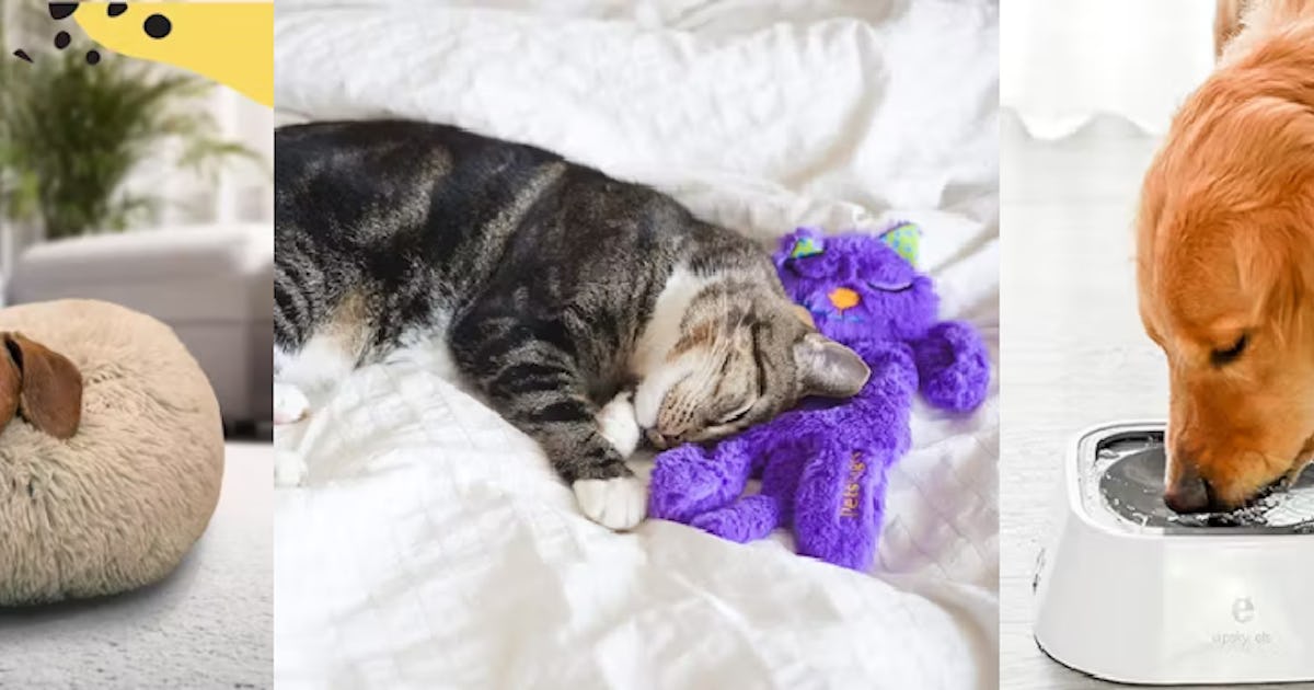 Pet Parent Upgrades That Feel Ultra-Lux For Way Less Than You'd Think