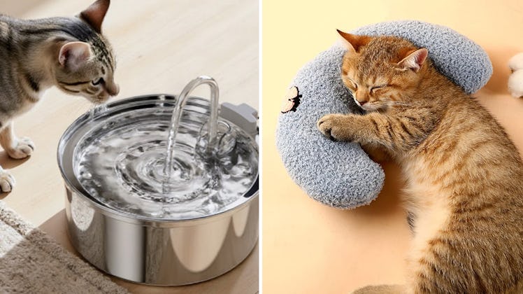 If You Have A Cat, These 50 Clever Things Are Life-Changing