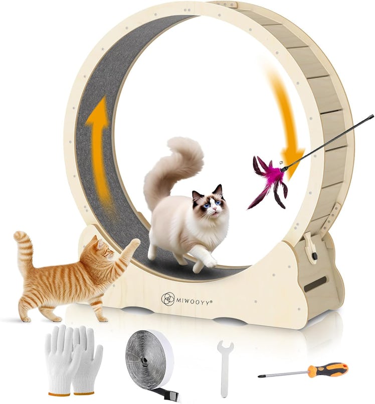 MIWOOYY Cat Exercise Wheel