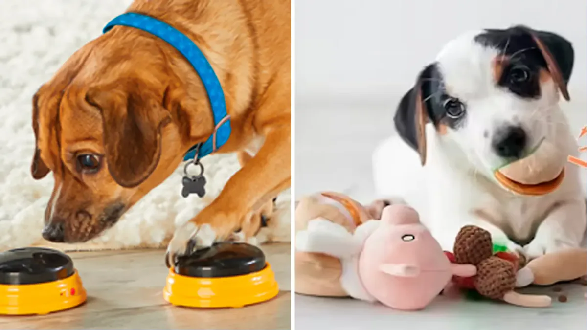 Weird new things for dogs on Amazon that are legitimately amazing