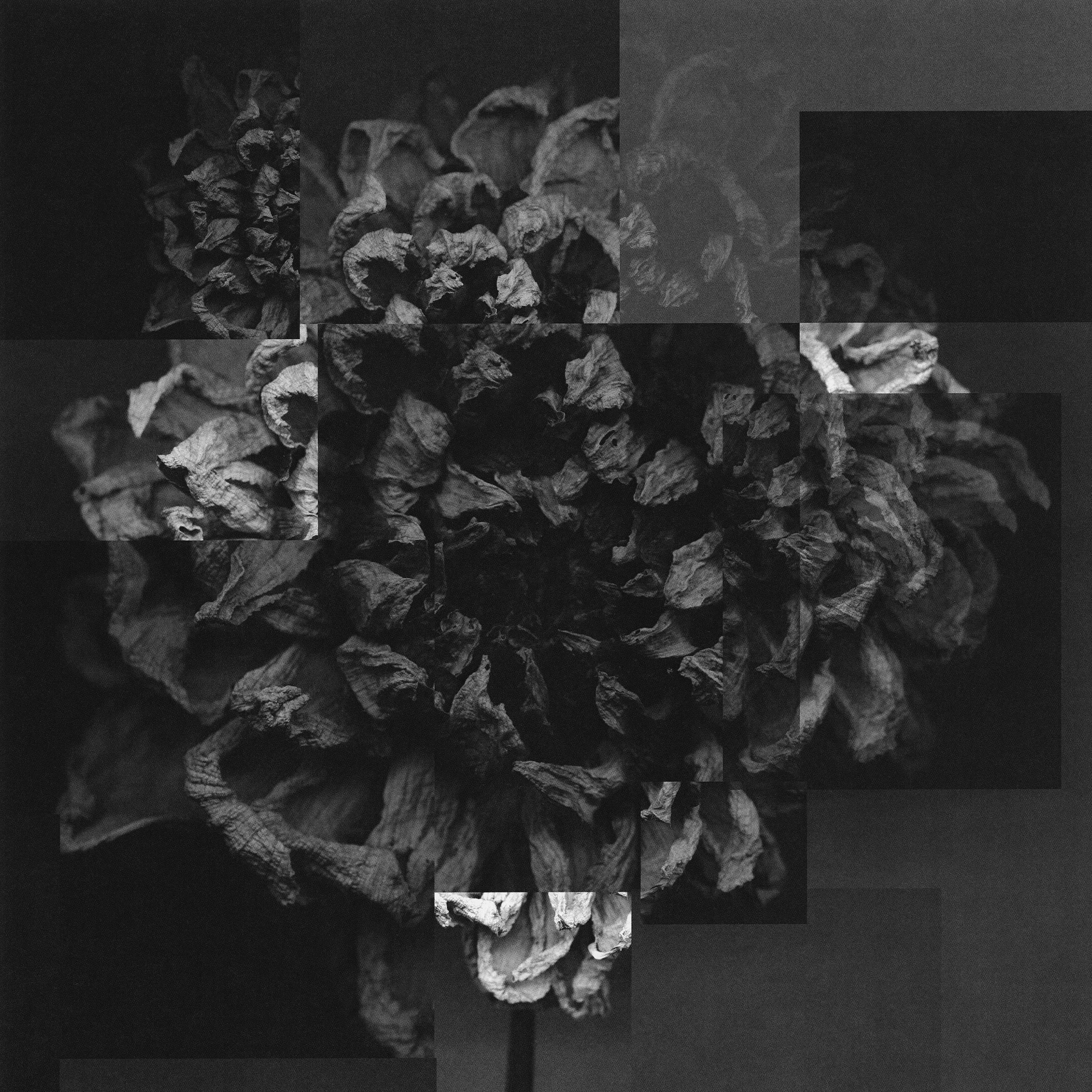 A New NYC Art Show Puts the Photocopier Front and Center