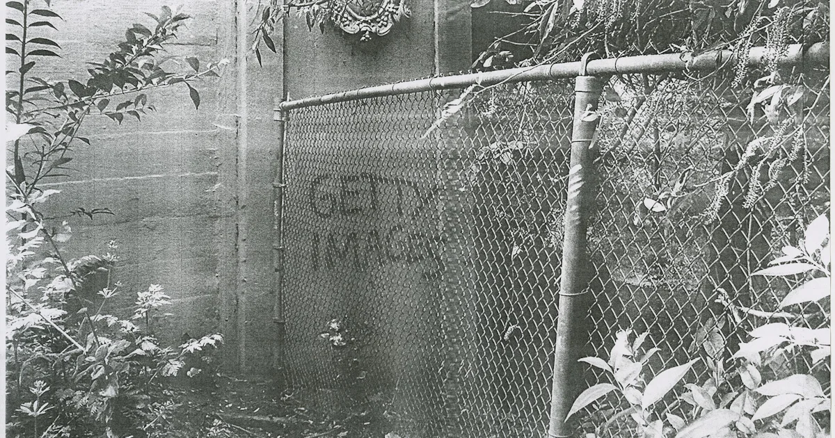 A New NYC Art Show Puts the Photocopier Front and Center