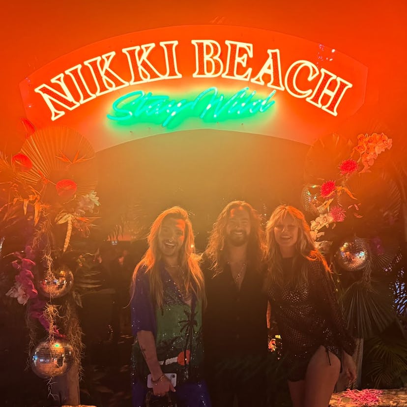 Heidi Klum's sheer mesh dress