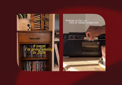 What to know about the analog trend for 2026.