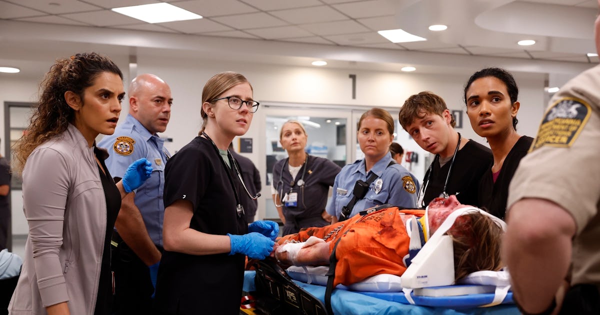 Did You Catch This 'Grey's Anatomy' Alum On 'The Pitt'?