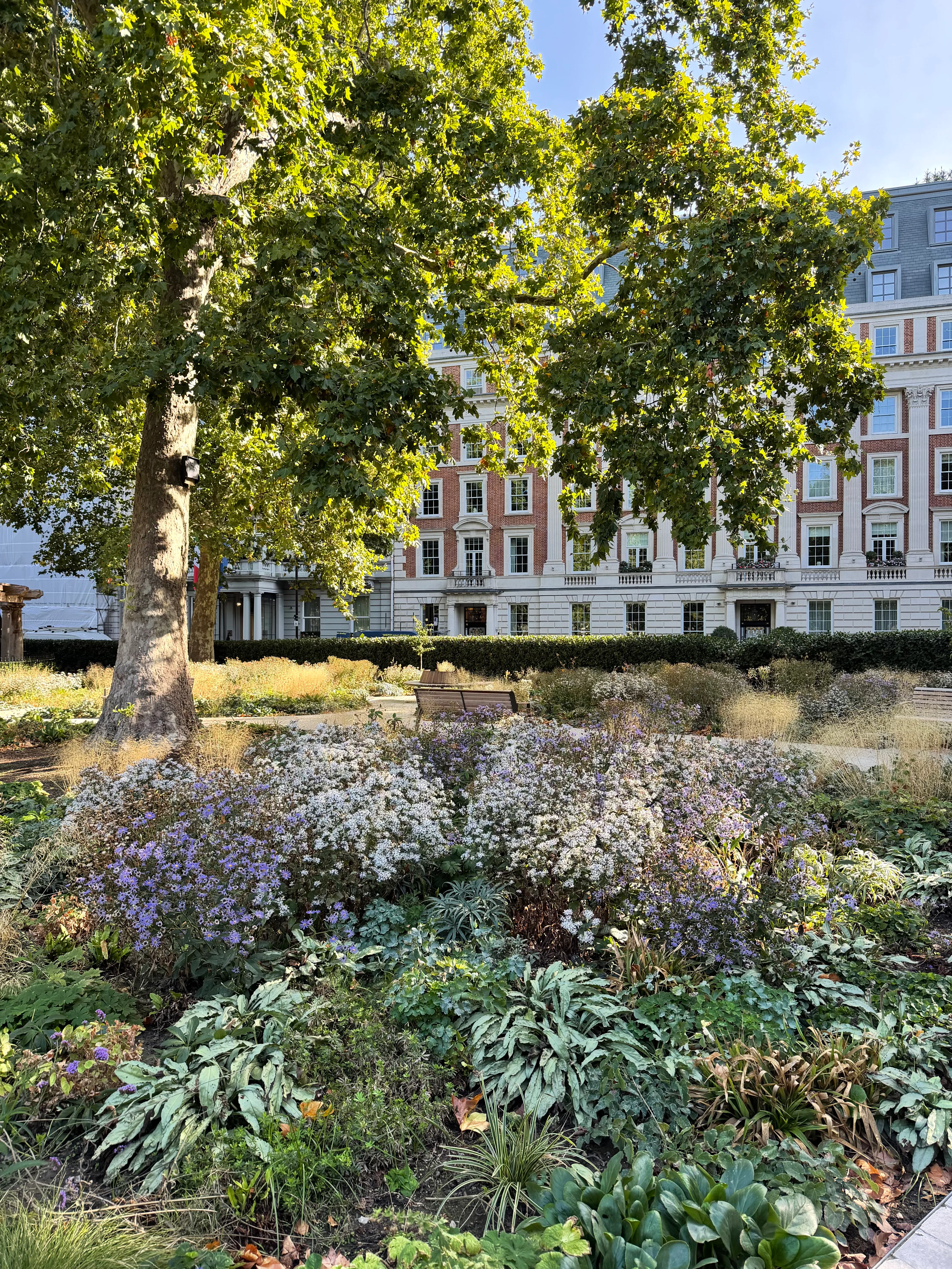 London's Mayfair Neighborhood