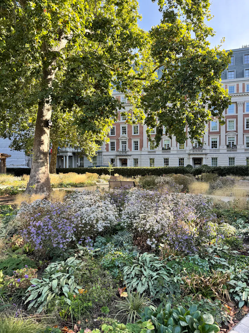 London's Mayfair Neighborhood
