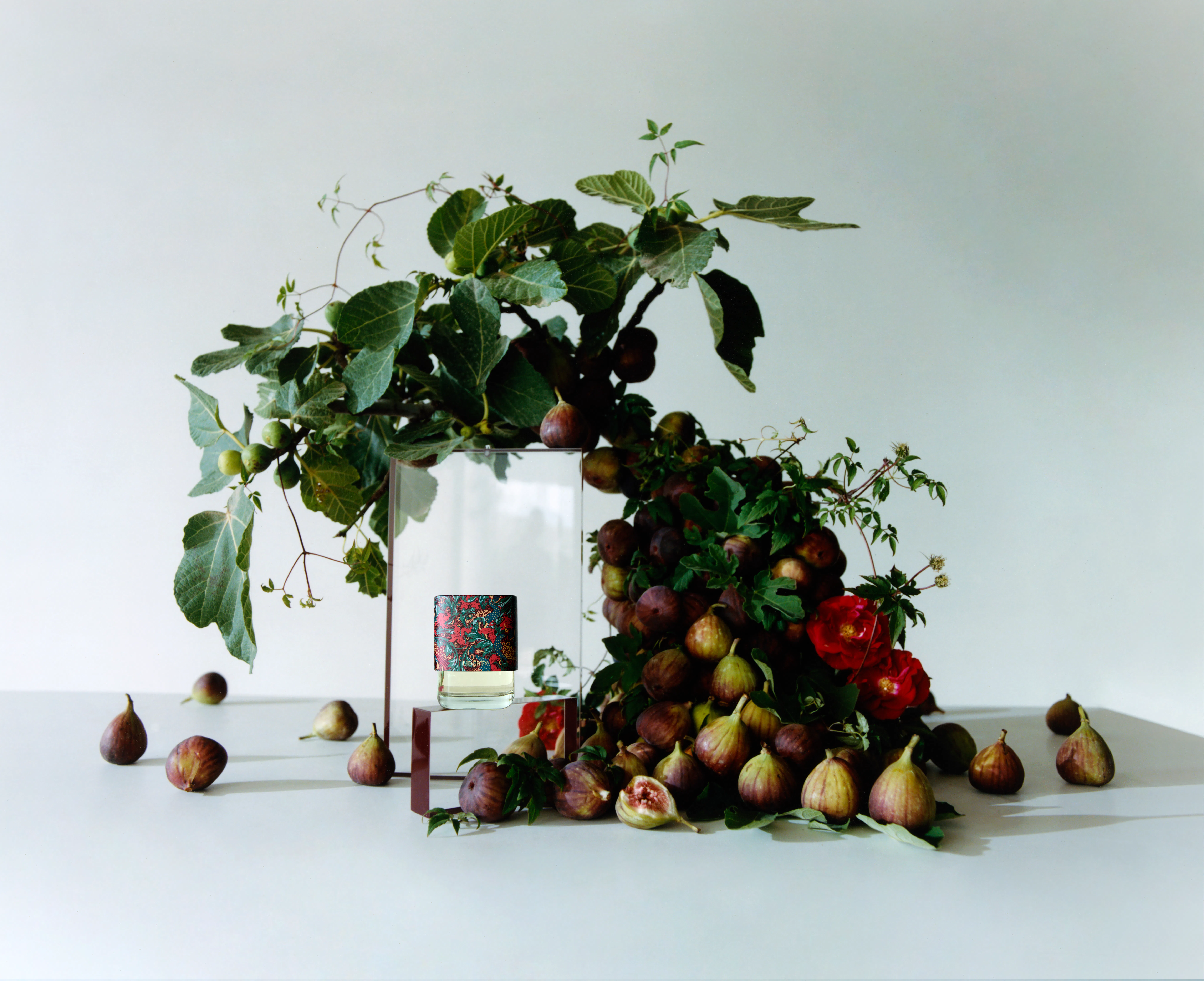 Fig Fragrances 