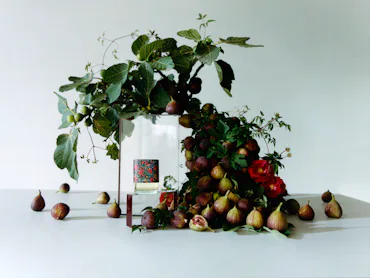 Fig Fragrances