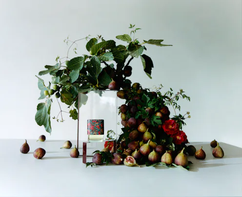Fig Fragrances