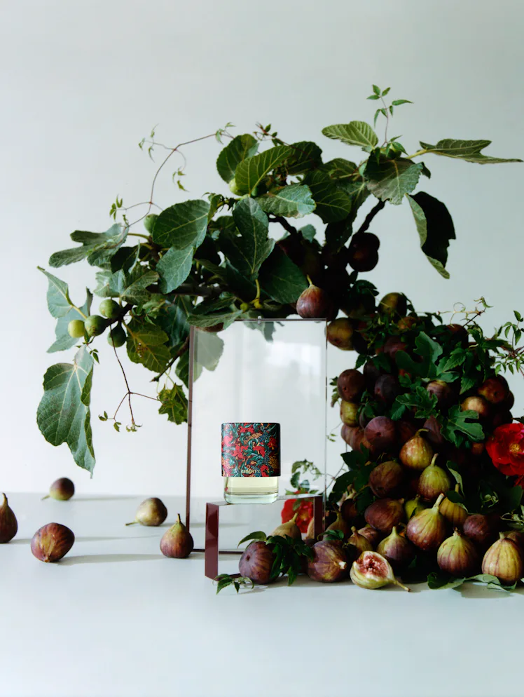 Fig Fragrances