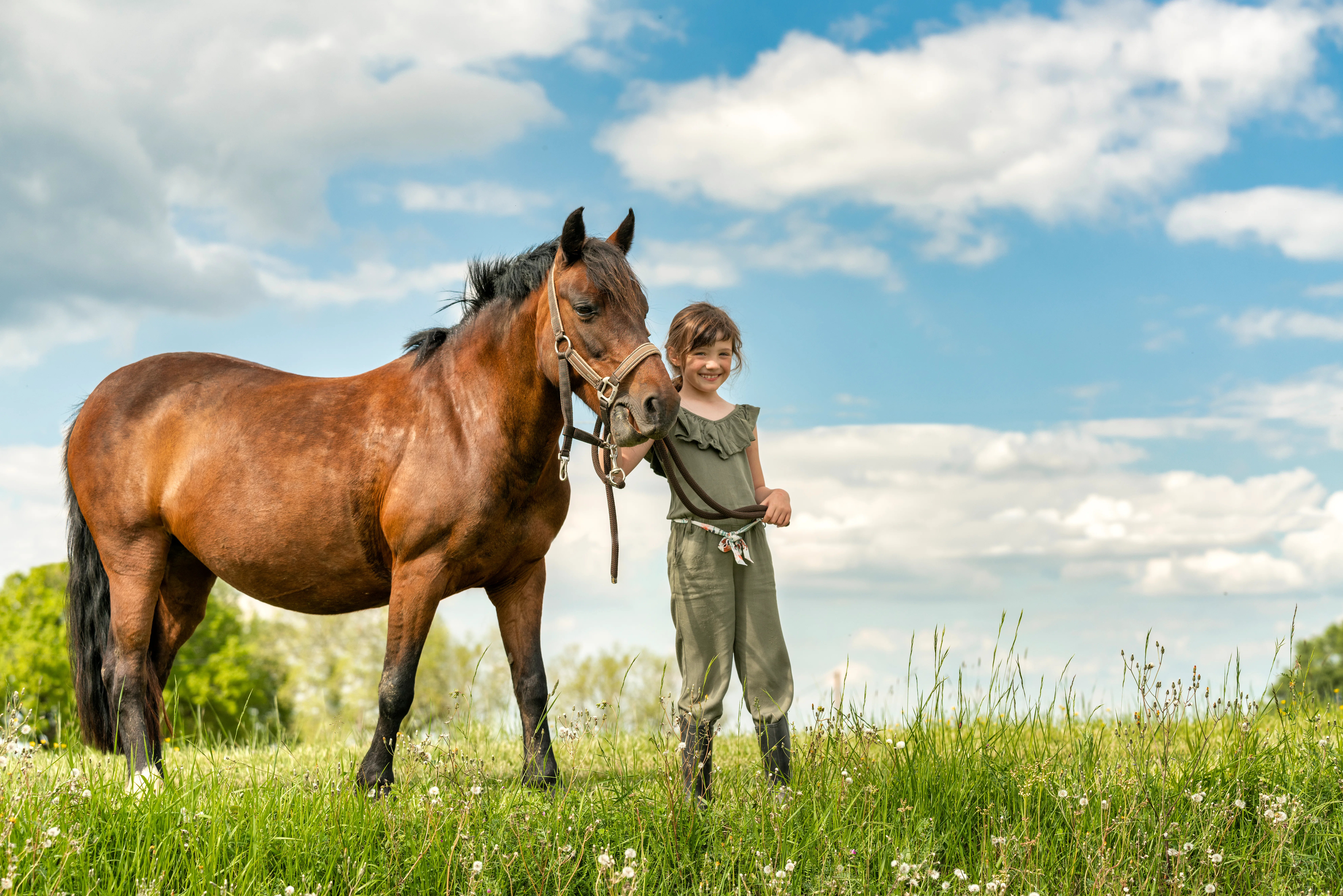 Young girl in riding gear stands in a grassy meadow holding the reins of a brown horse under a partl...