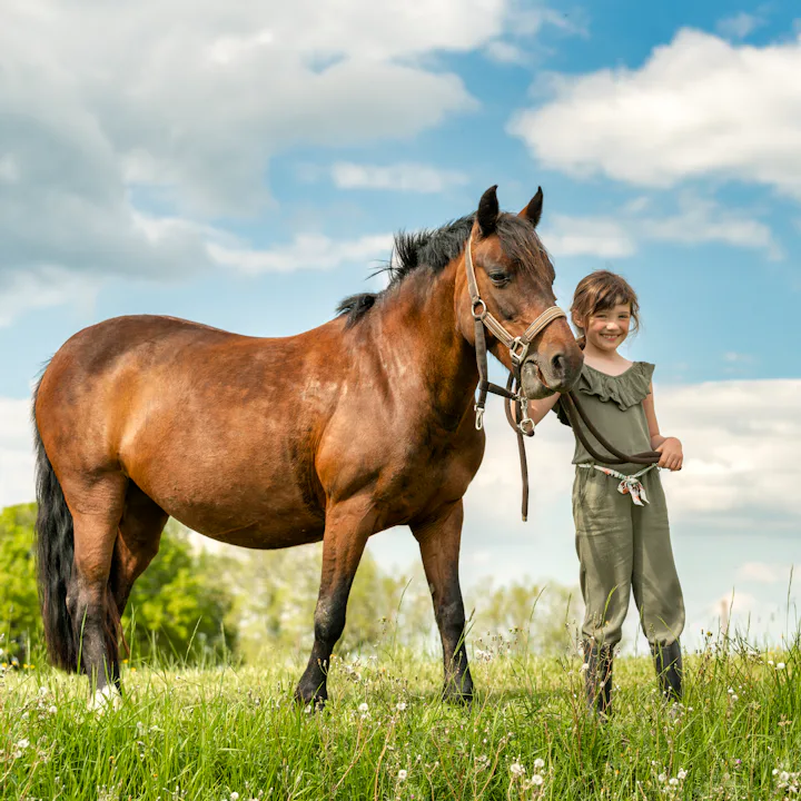 Young girl in riding gear stands in a grassy meadow holding the reins of a brown horse under a partl...