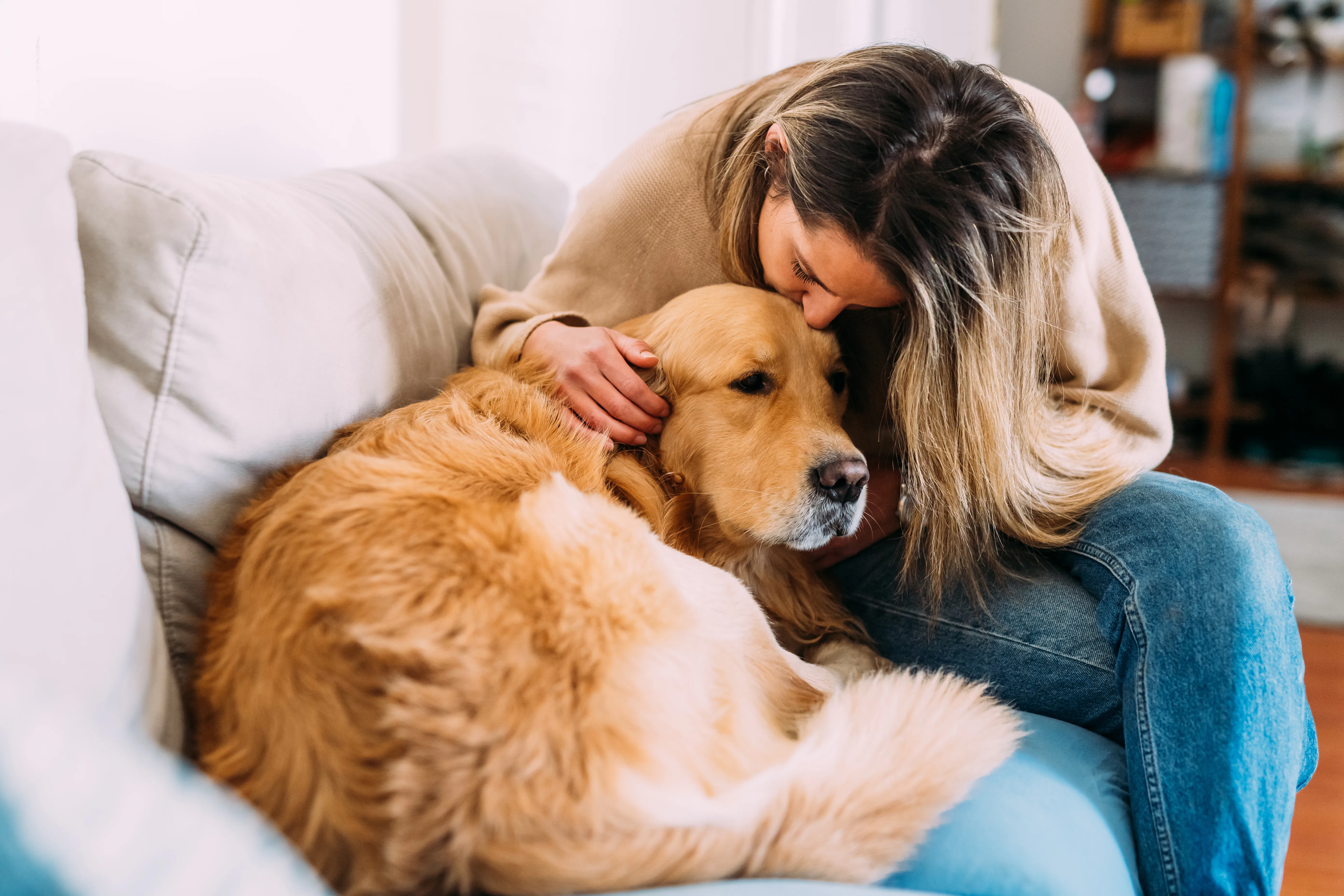 Woman sits on a couch leaning forward to kiss and pet a large golden retriever curled beside her, bo...