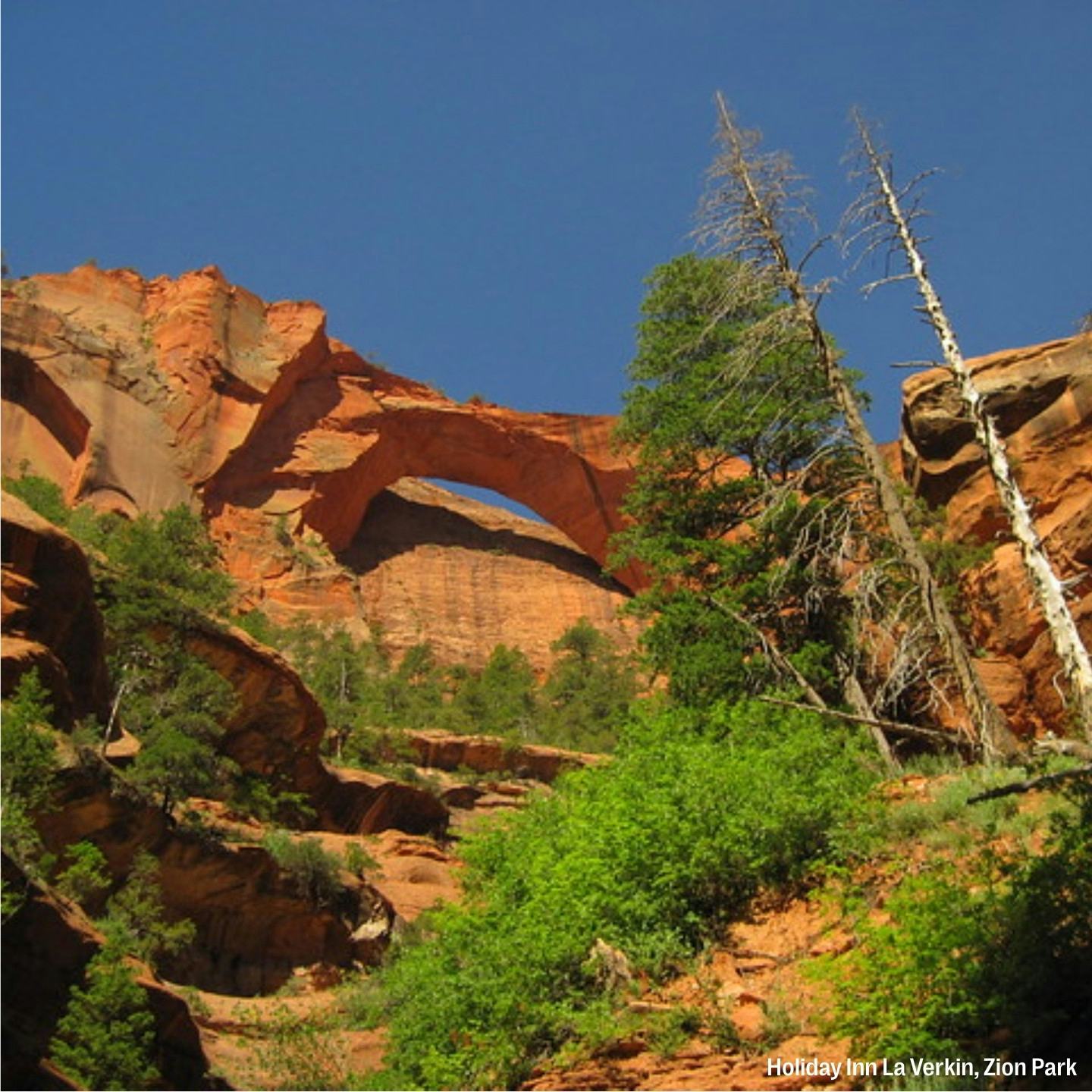 Planning Your Next Family Vacation? Here Are Some Memory-Making Destinations