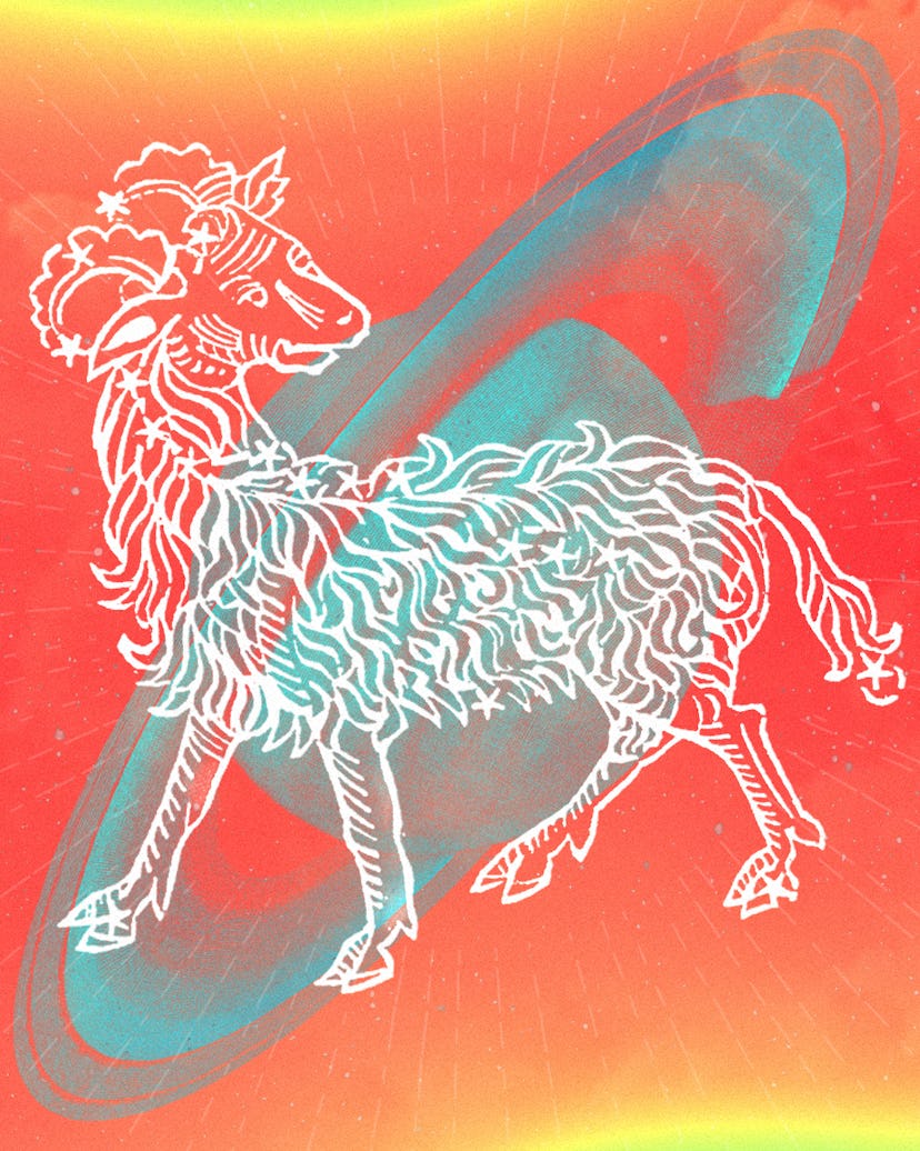 daily horoscope for february 19 2026