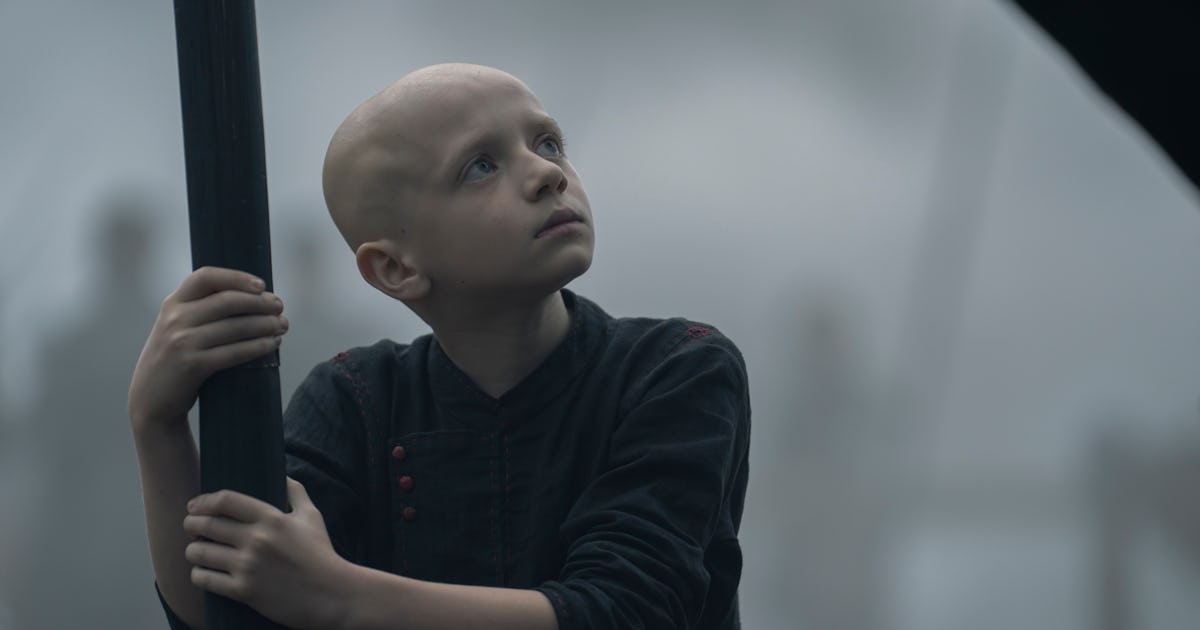 Hoeveel koninkrijken zijn er werkelijk in Westeros? Verklaring van de titel van de titel “Ridder van de Zeven Koninkrijken”.