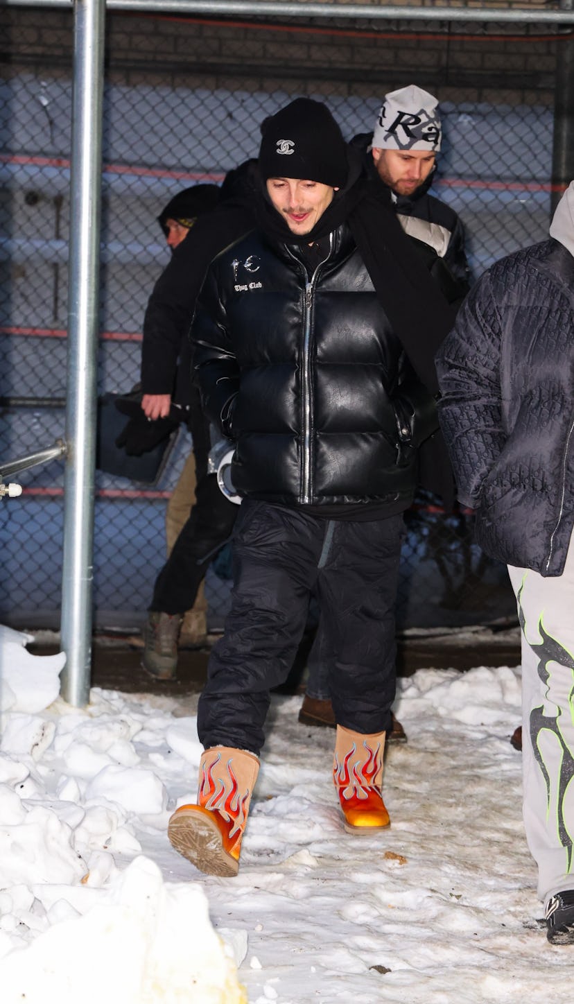 Timothée Chalamet, New York.