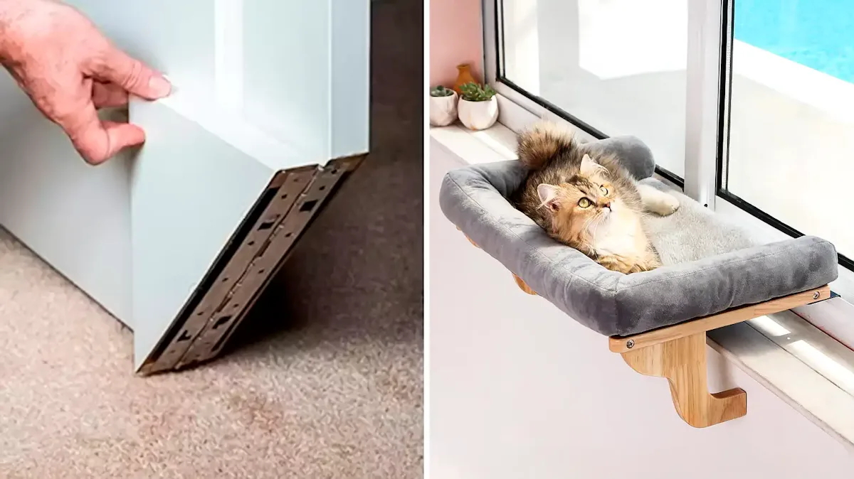 70 Weird Things You Didn't Know About That Make Having A Cat So Much Easier