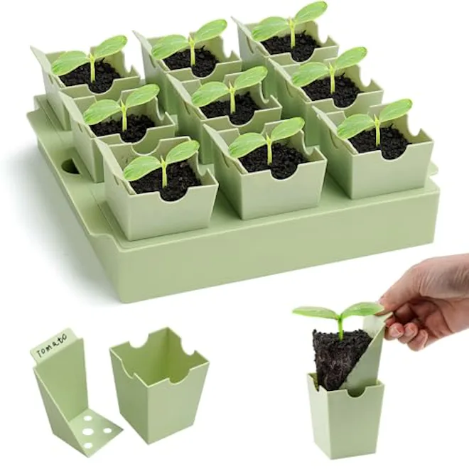 GREENBAZZAR Seed Starter Tray