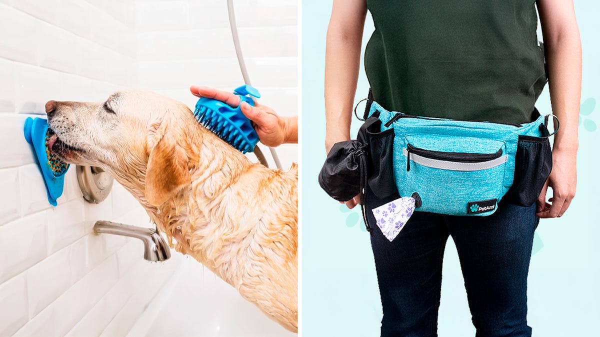 Dog Trainers Swear By These Clever Things That Are Life-Changing
