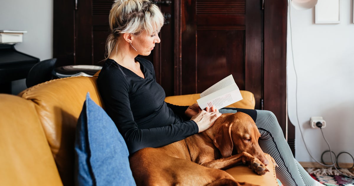 12 Books That Scary Mommy Editors Devoured In February 2026