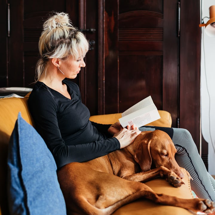 woman reading book with dog