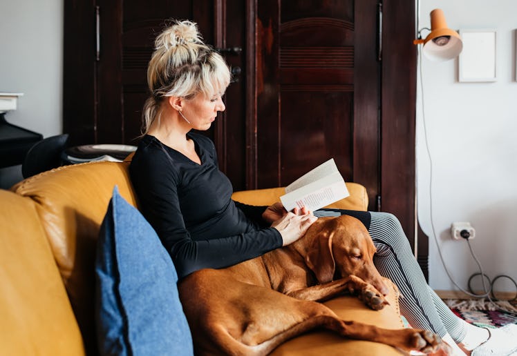 woman reading book with dog