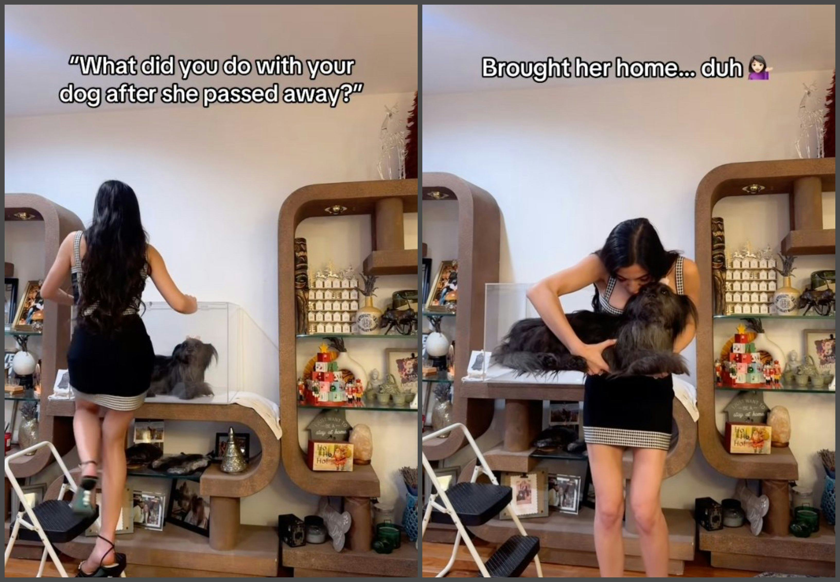 A woman shows her taxidermied dog.