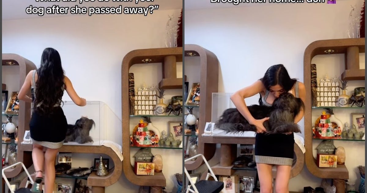 Is Preserving A Beloved Pet After Death "Creepy" - Or Just Another Way To Grieve?