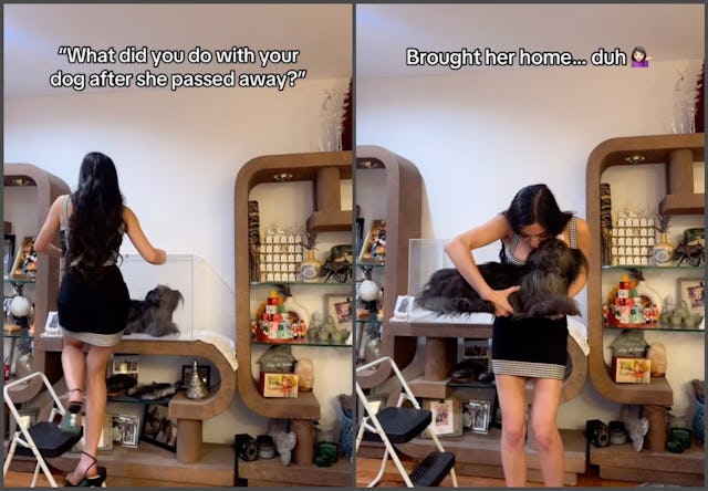 A woman shows her taxidermied dog.