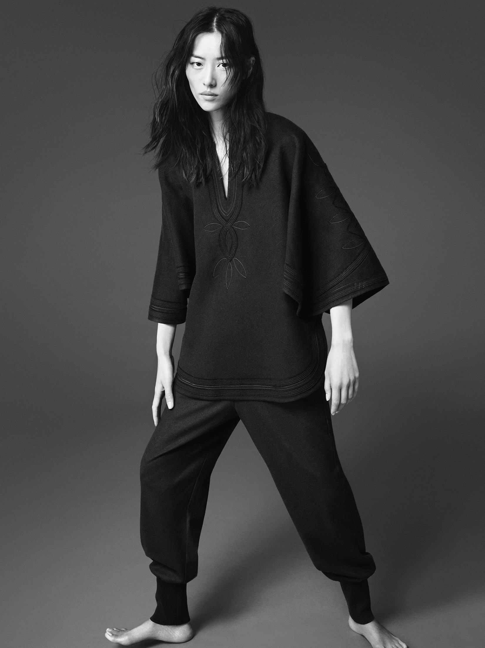 Liu Wen 