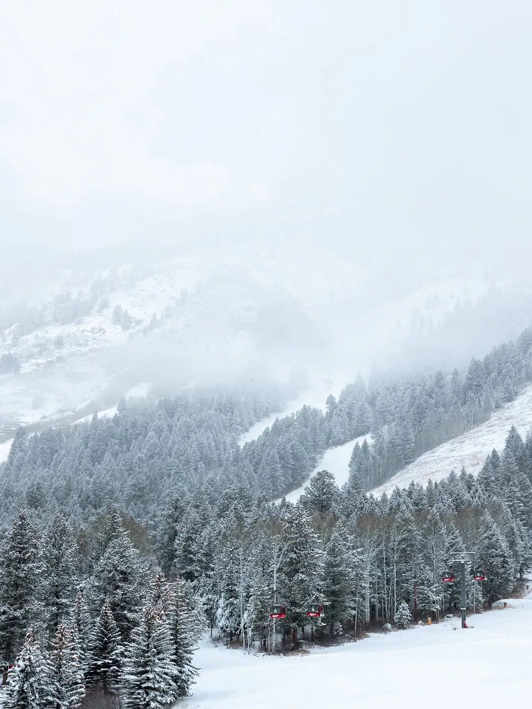 Jackson Hole Wyoming ski trips