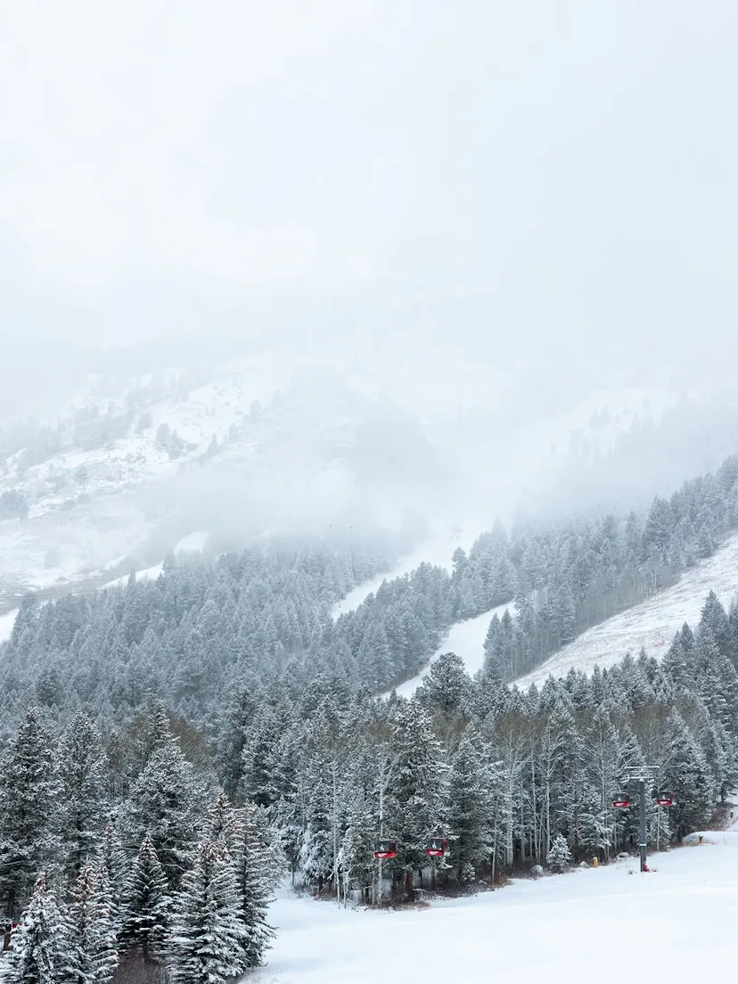 Jackson Hole Wyoming ski trips