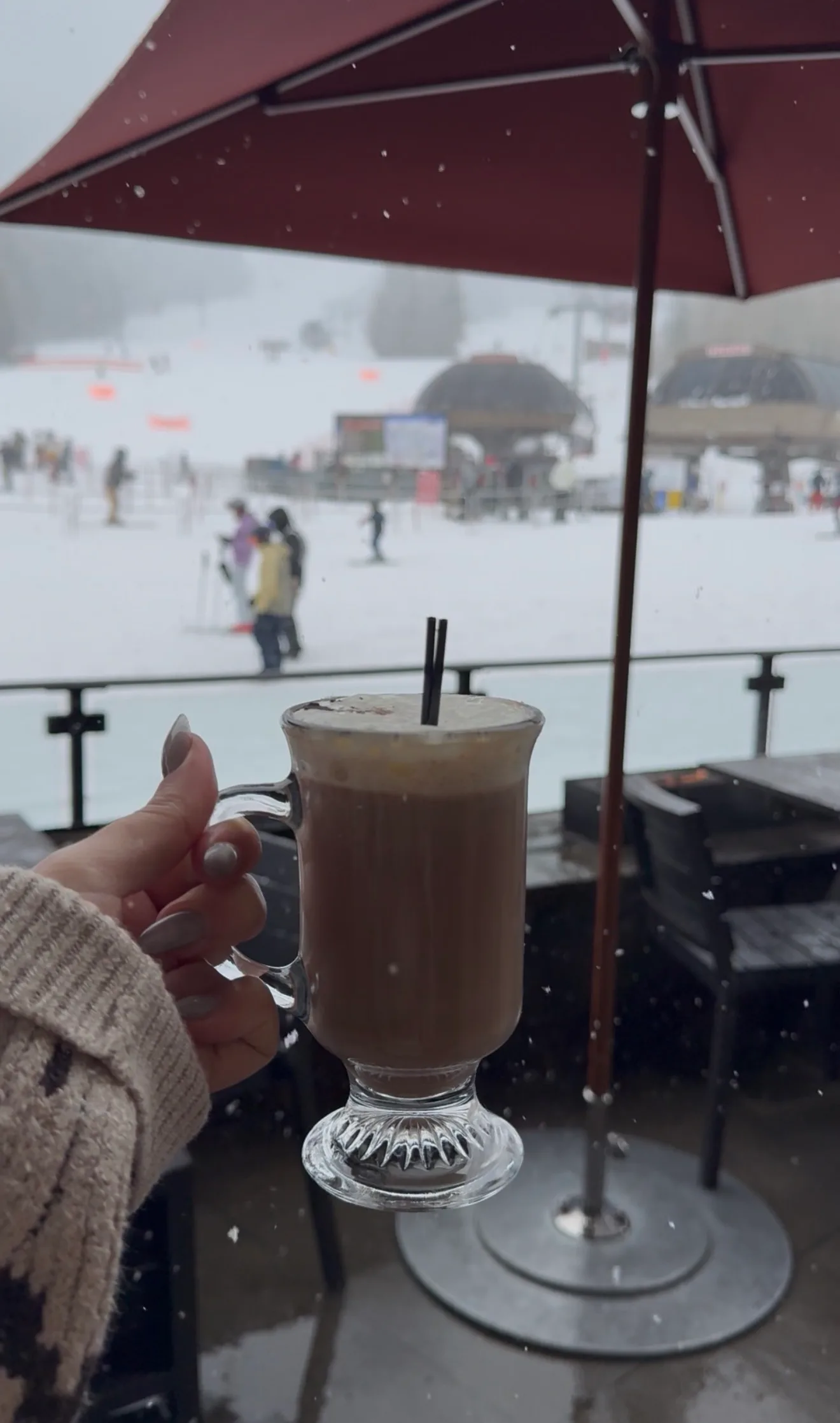 Jackson Hole Wyoming ski trip 