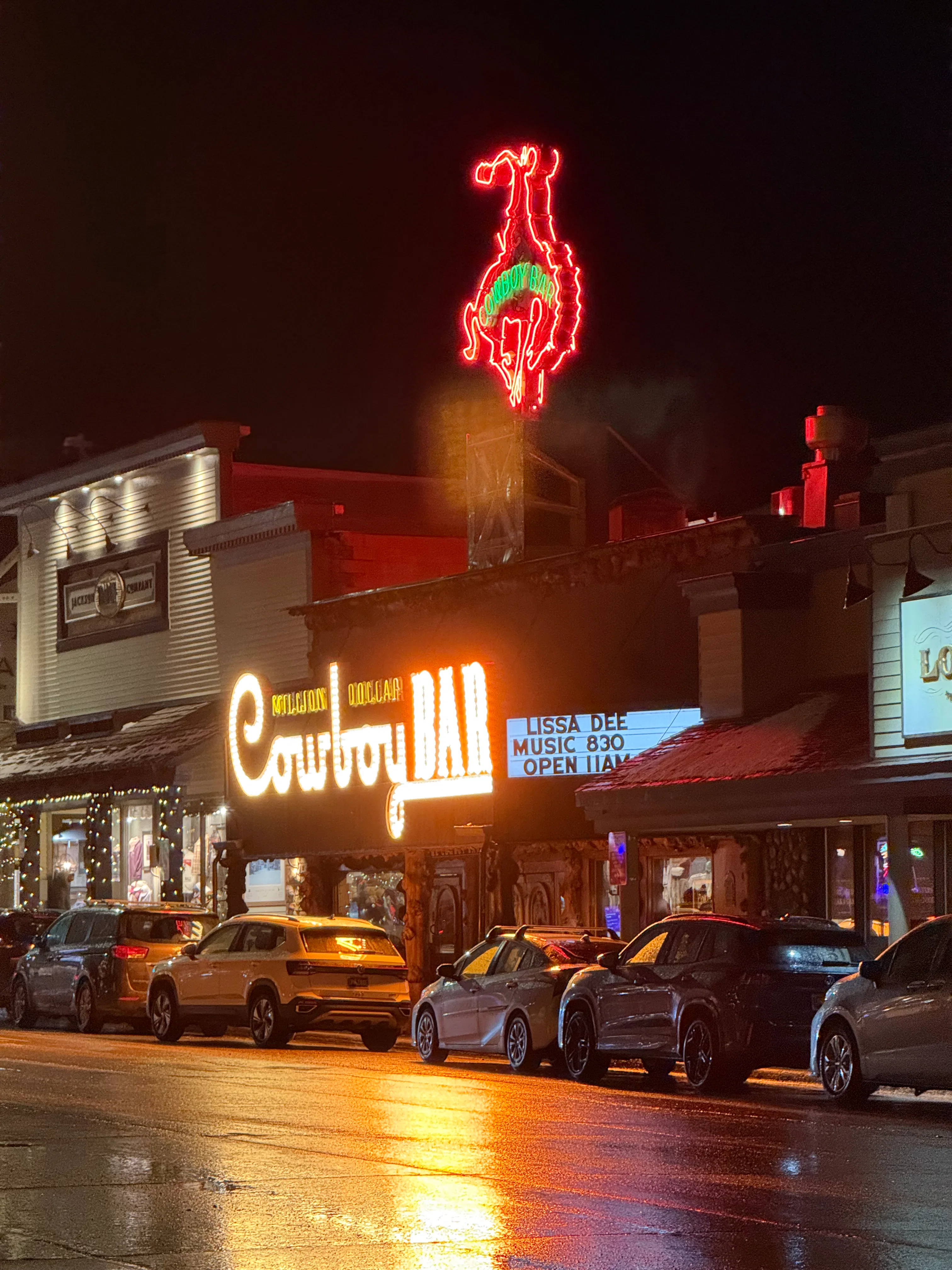 Jackson Hole Wyoming ski trip review