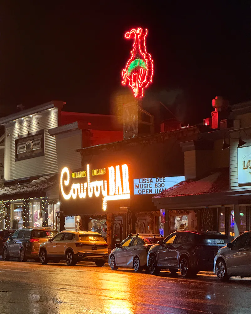 Jackson Hole Wyoming ski trip review