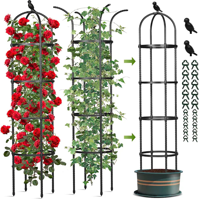 CL FUN Obelisk Trellis