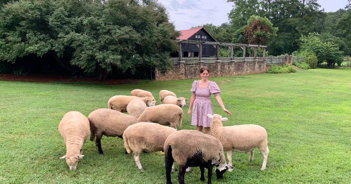 Scary Mommy 2026 Readers' Choice Awards Best Farm Stay