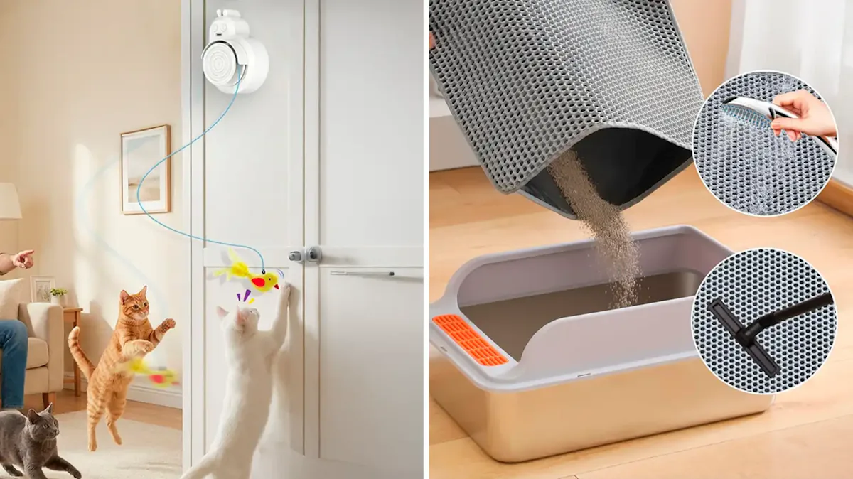 If Your Cat Is A Pain In The Butt, These Clever Things Are Life-Changing