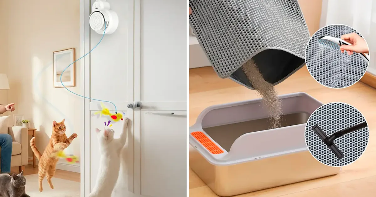 If Your Cat Is A Pain In The Butt, These Clever Things Are Life-Changing