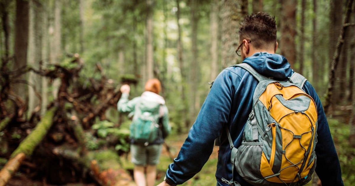 What Is "Alpine Divorce"? Experts Explain The Disturbing Relationship Term Going Viral