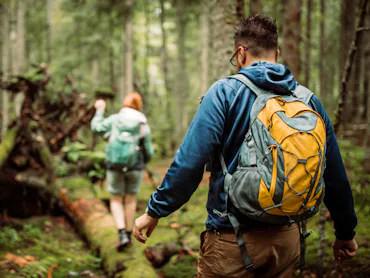 Two people with backpacks hike through a dense, green forest. One is in focus, wearing a blue jacket...