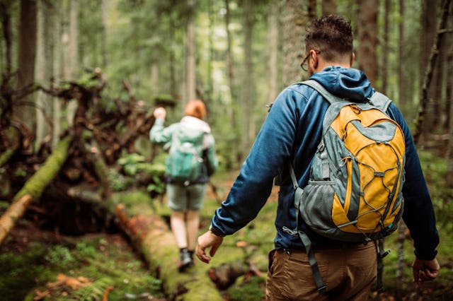 Two people with backpacks hike through a dense, green forest. One is in focus, wearing a blue jacket...