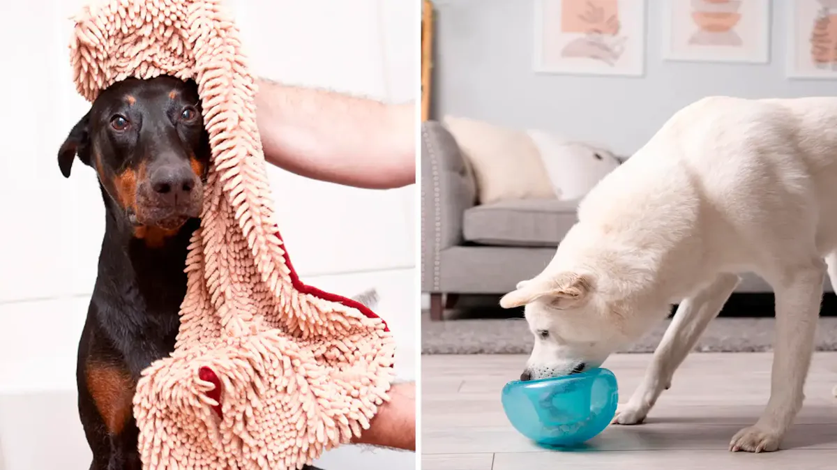 55 Genius Things For Your Dog You'll Wonder How You Ever Lived Without
