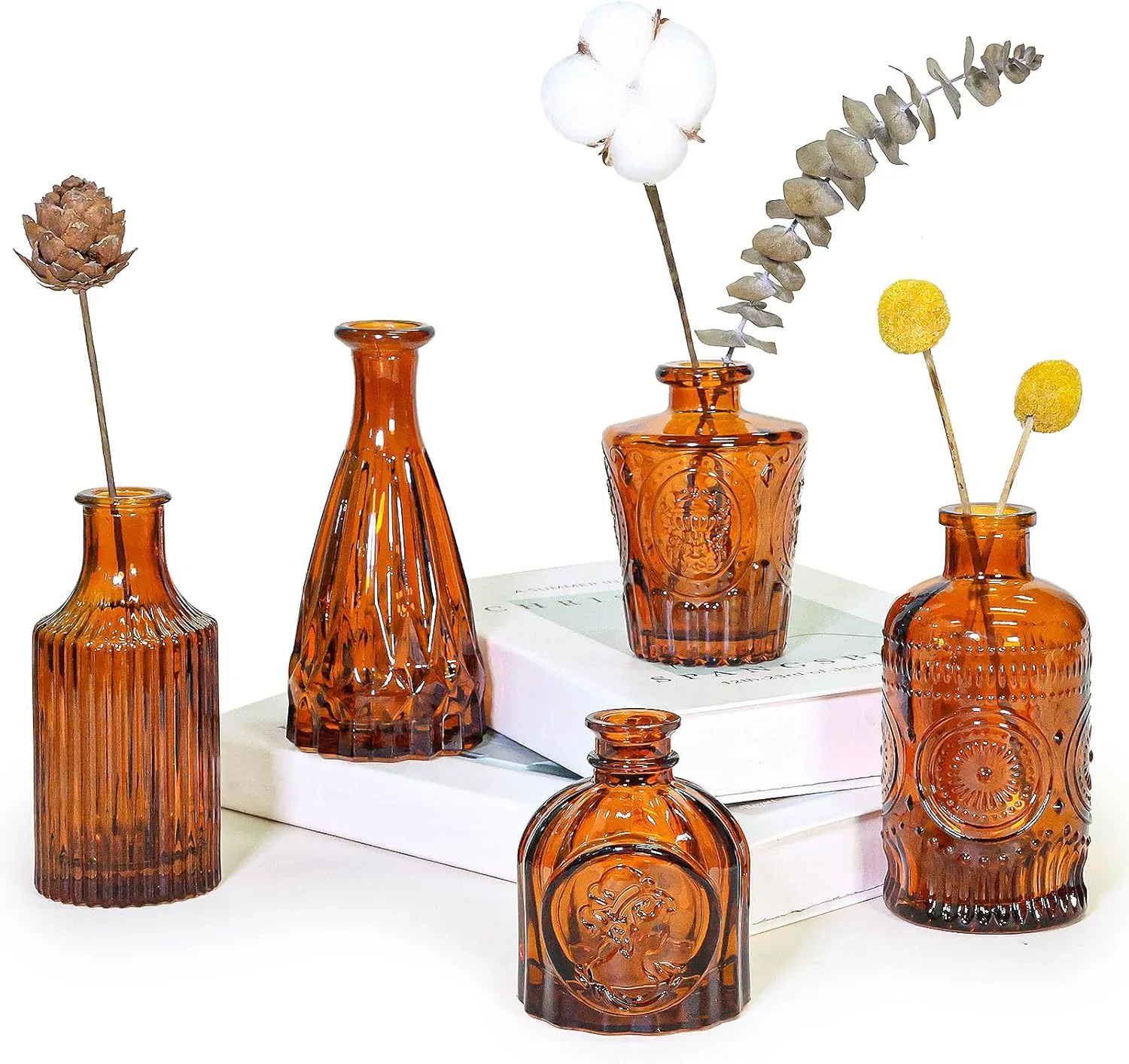 SUPMIND Glass Bud Vase (Set of 5)