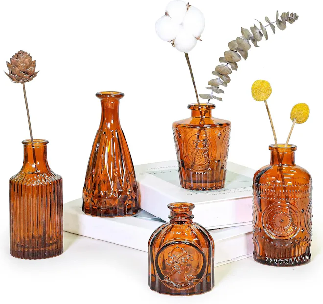 SUPMIND Glass Bud Vase (Set of 5)