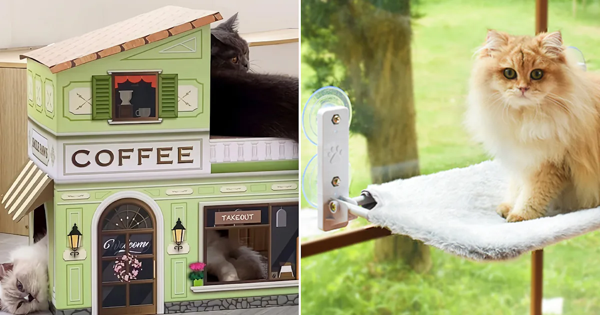 55 Weird Things For Your Cat With Near-Perfect Reviews That Are So Genius