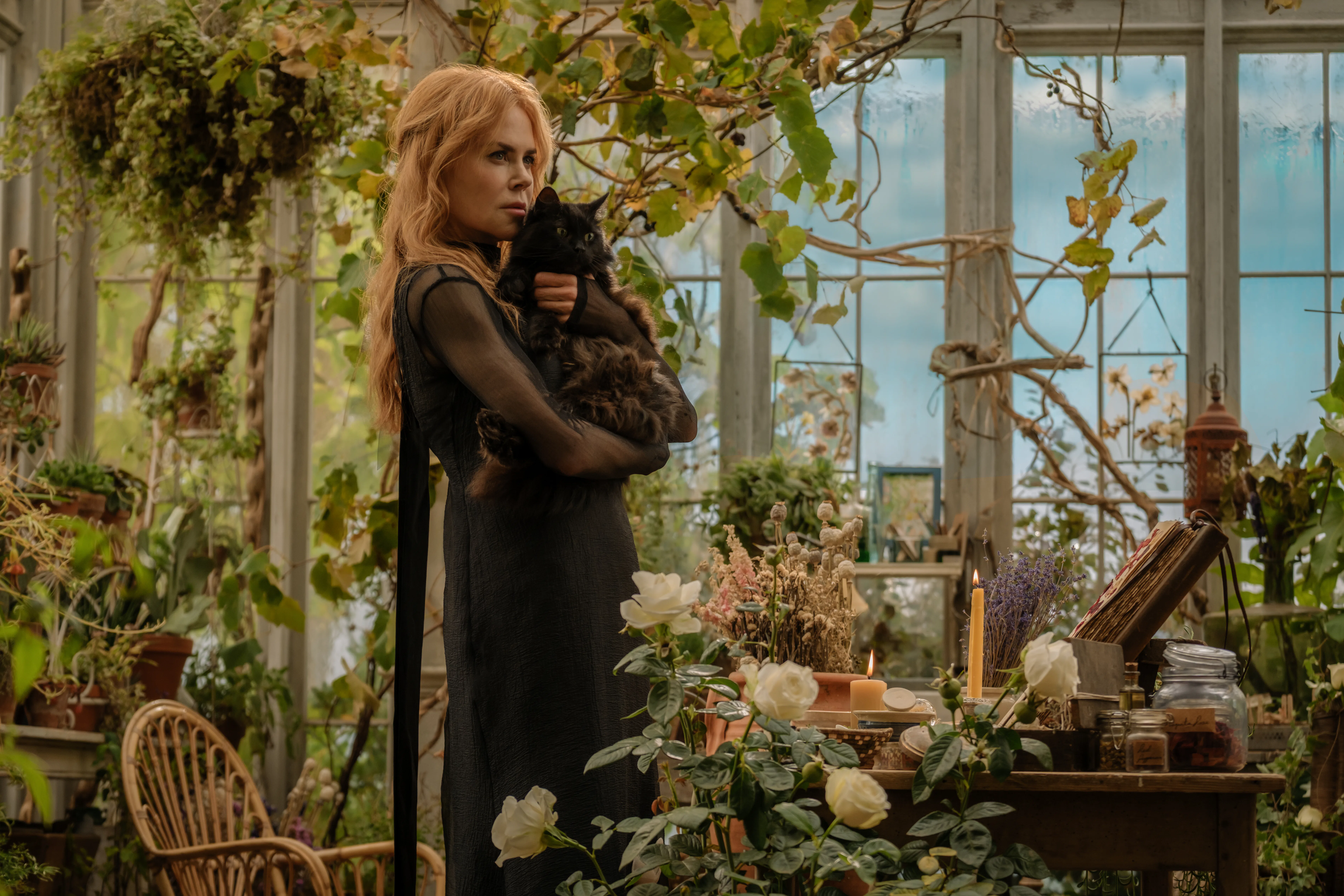 A scene from Practical Magic 2 with Nicole Kidman